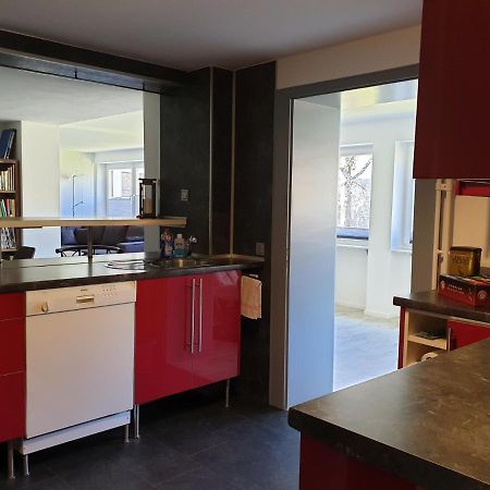 Kurpark-Suite Schonach im Schwarzwald Extérieur photo